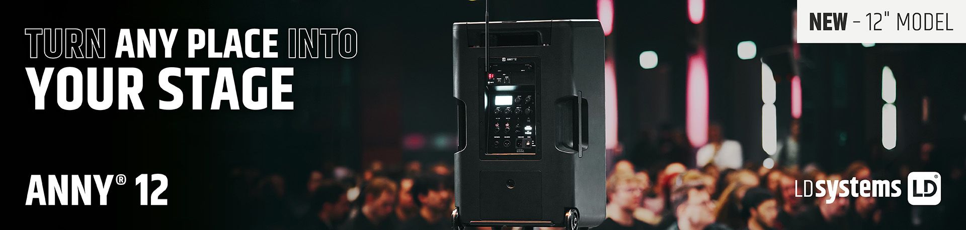 LD Systems Anny 12 